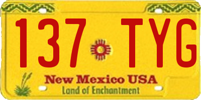 NM license plate 137TYG