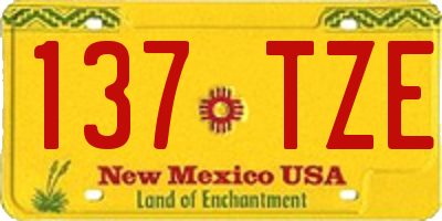 NM license plate 137TZE