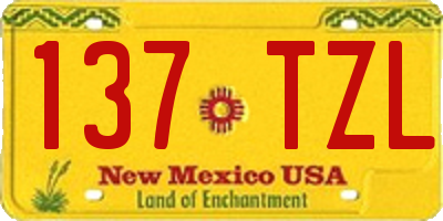 NM license plate 137TZL