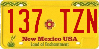 NM license plate 137TZN
