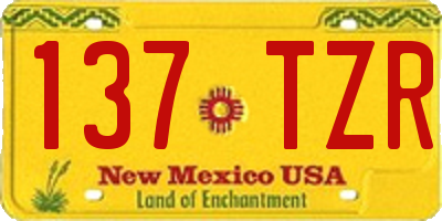 NM license plate 137TZR