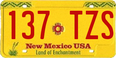NM license plate 137TZS