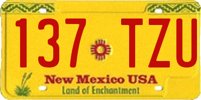 NM license plate 137TZU