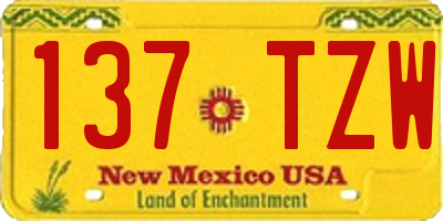 NM license plate 137TZW