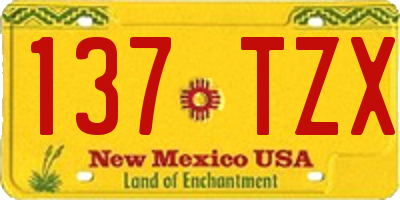 NM license plate 137TZX