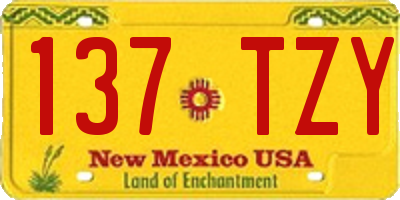 NM license plate 137TZY