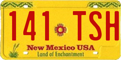 NM license plate 141TSH