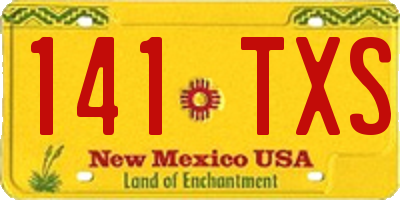 NM license plate 141TXS