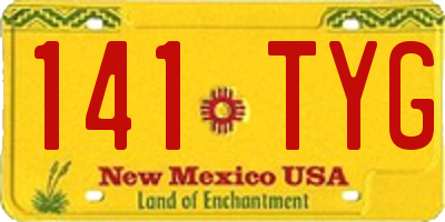 NM license plate 141TYG