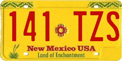 NM license plate 141TZS