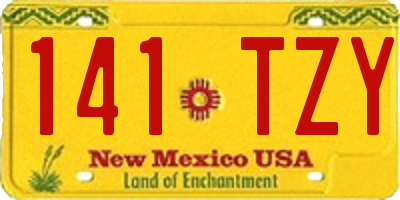 NM license plate 141TZY