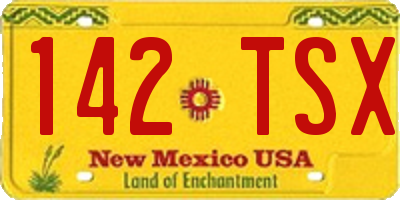 NM license plate 142TSX
