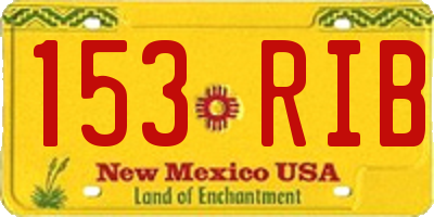 NM license plate 153RIB