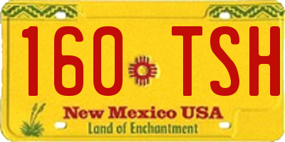 NM license plate 160TSH