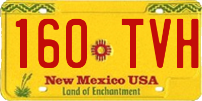 NM license plate 160TVH