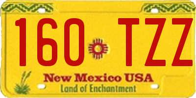NM license plate 160TZZ