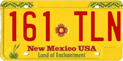 NM license plate 161TLN