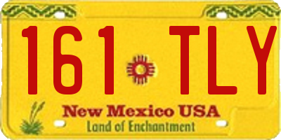 NM license plate 161TLY