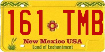 NM license plate 161TMB