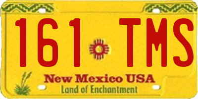 NM license plate 161TMS