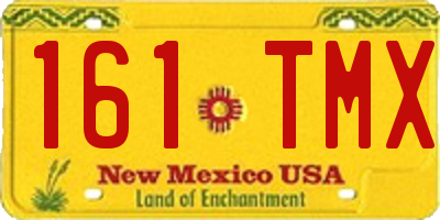NM license plate 161TMX