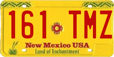 NM license plate 161TMZ
