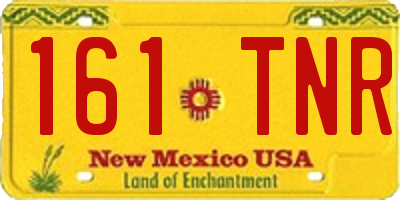 NM license plate 161TNR