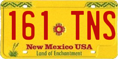 NM license plate 161TNS
