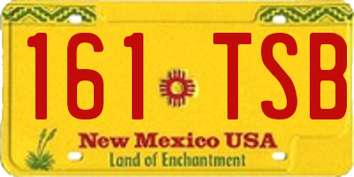 NM license plate 161TSB