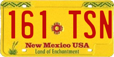 NM license plate 161TSN
