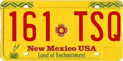 NM license plate 161TSQ