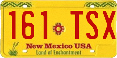 NM license plate 161TSX