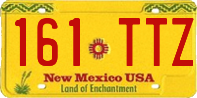 NM license plate 161TTZ