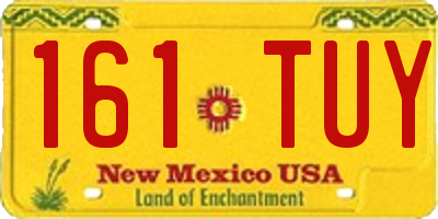 NM license plate 161TUY