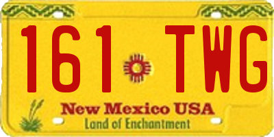 NM license plate 161TWG