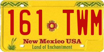 NM license plate 161TWM