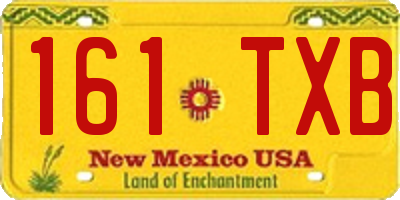 NM license plate 161TXB