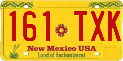 NM license plate 161TXK