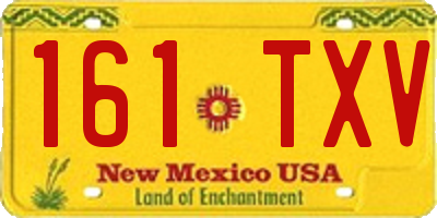 NM license plate 161TXV