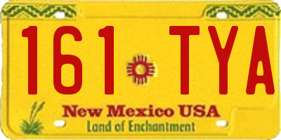 NM license plate 161TYA