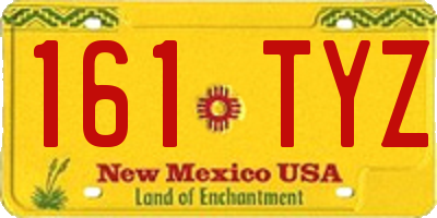 NM license plate 161TYZ