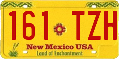 NM license plate 161TZH