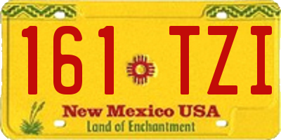 NM license plate 161TZI