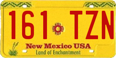 NM license plate 161TZN