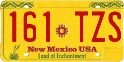 NM license plate 161TZS