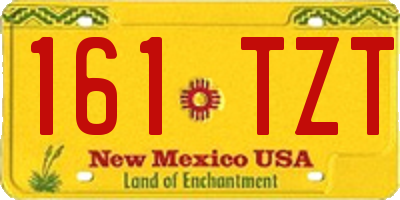 NM license plate 161TZT