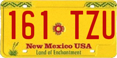 NM license plate 161TZU