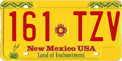 NM license plate 161TZV