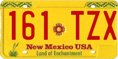 NM license plate 161TZX