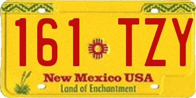 NM license plate 161TZY